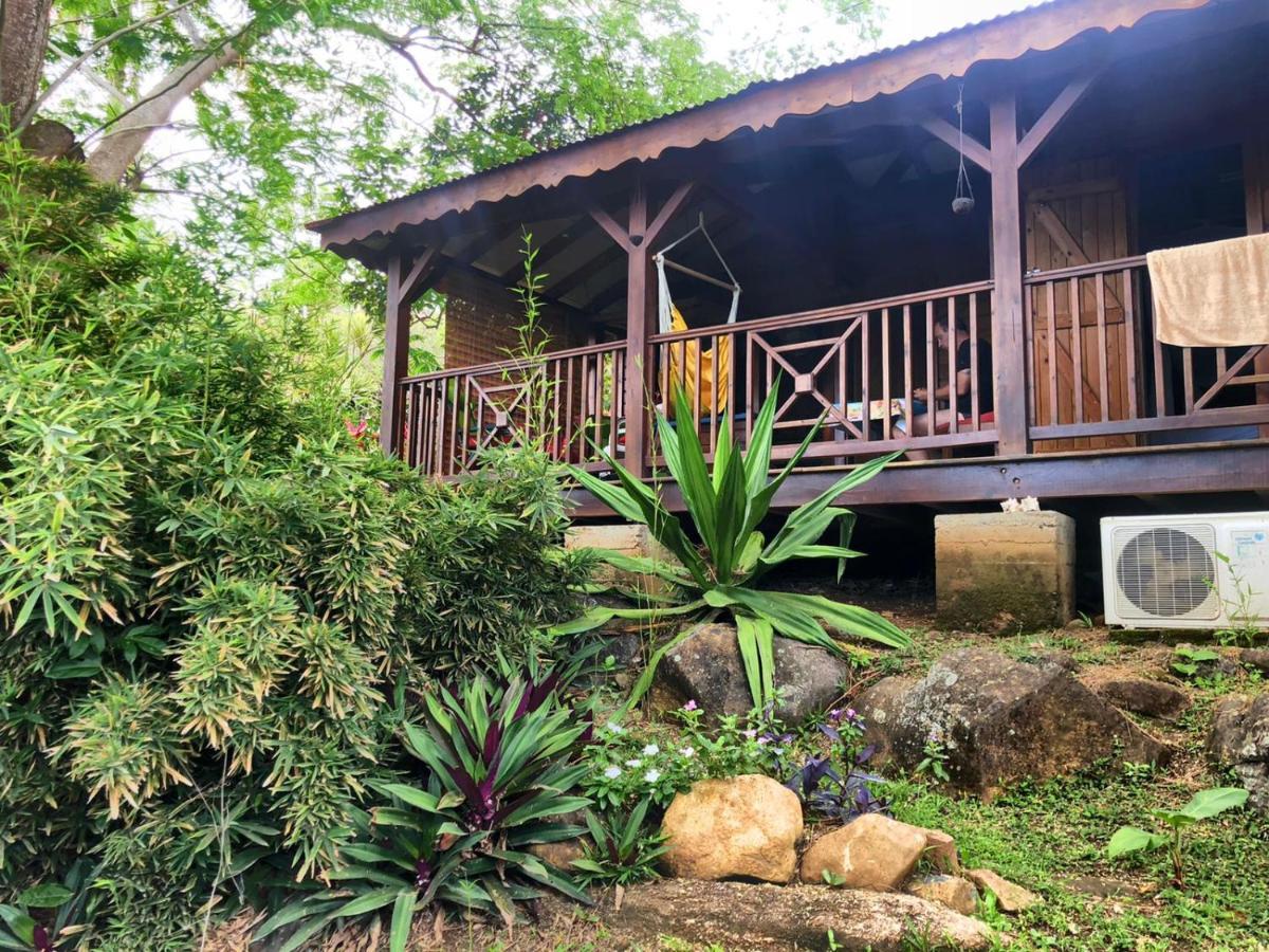 Villa Au Vieux Manguier à Deshaies Extérieur photo
