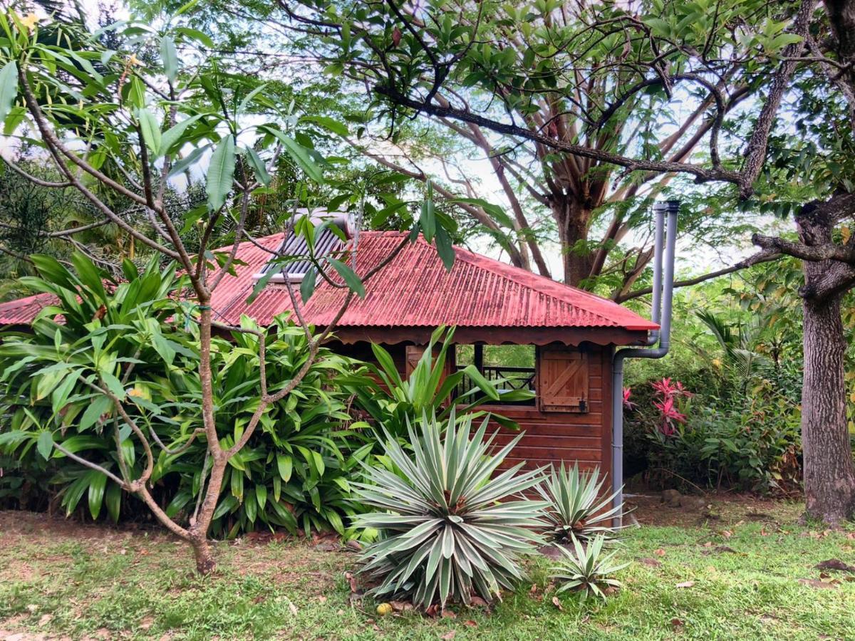 Villa Au Vieux Manguier à Deshaies Extérieur photo